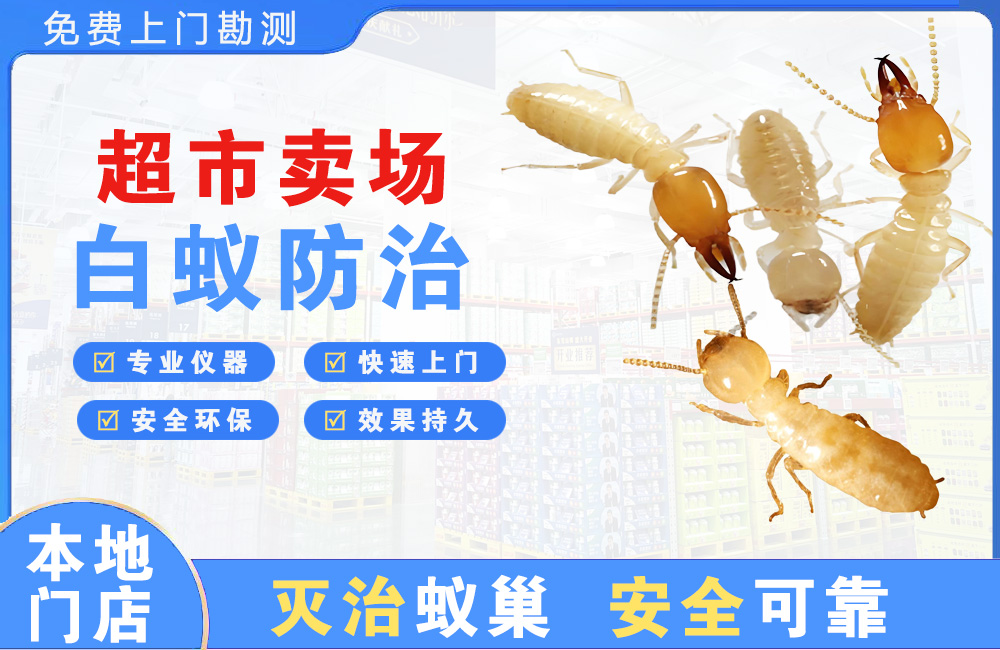 贵溪超市卖场白蚁防治