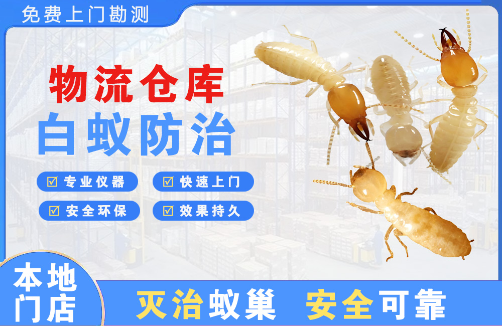 贵溪物流仓库白蚁防治