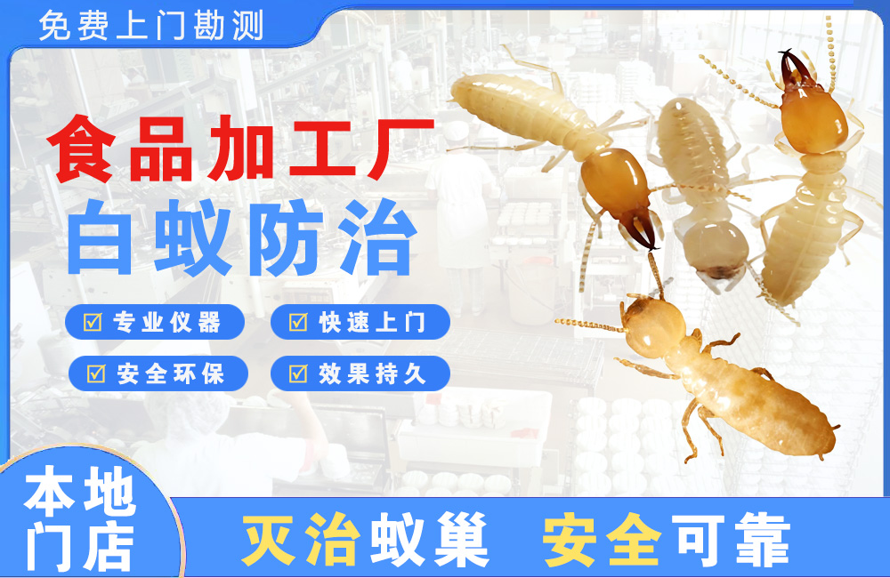 贵溪食品加工厂白蚁防治