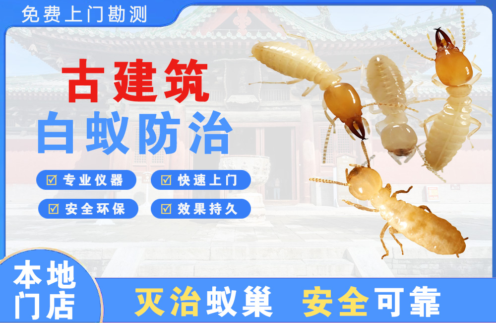 贵溪古建筑白蚁防治