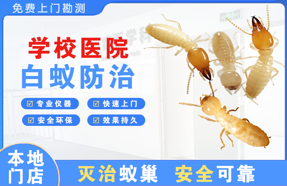 贵溪学校医院白蚁防治