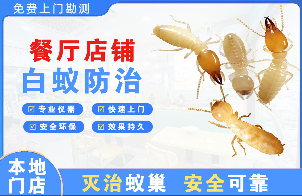 贵溪餐厅店铺白蚁防治